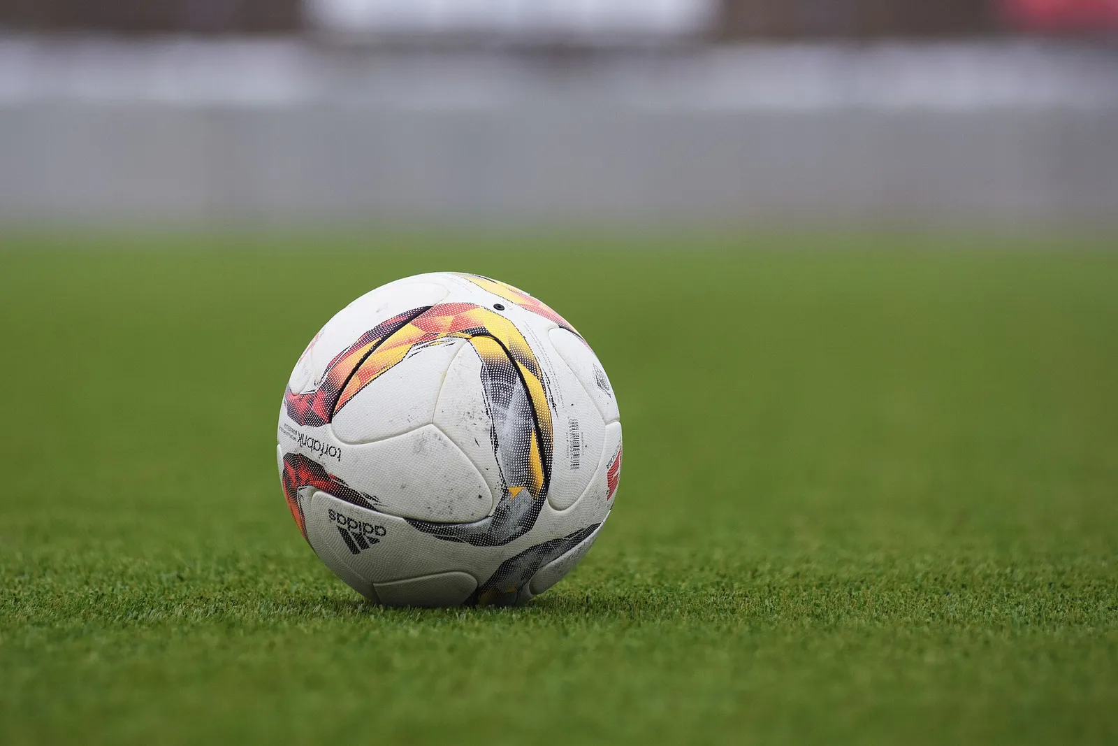 Ein Fußball auf dem Rasen (Symbolbild)