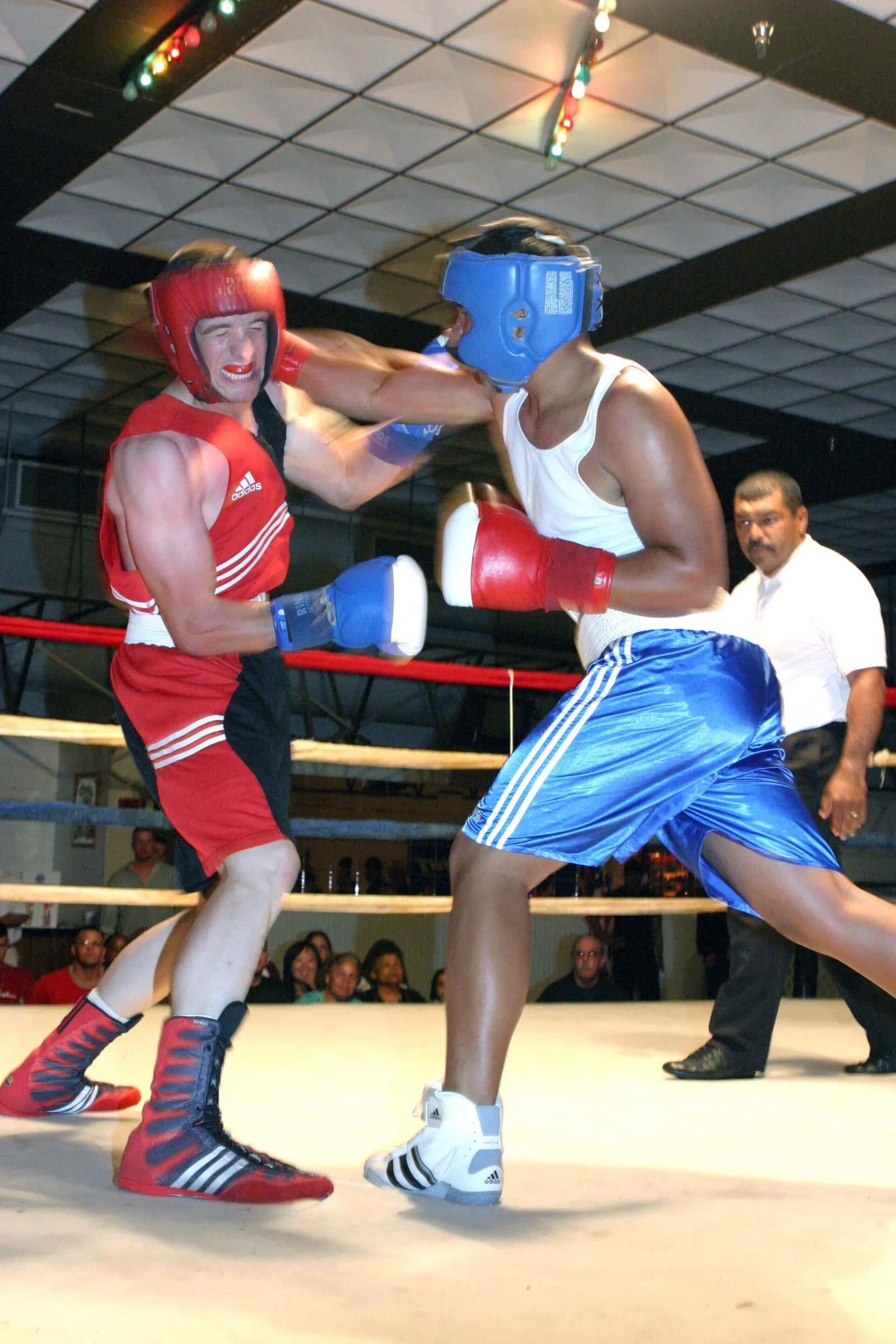 Zwei Boxer im Ring (Symbolbild)