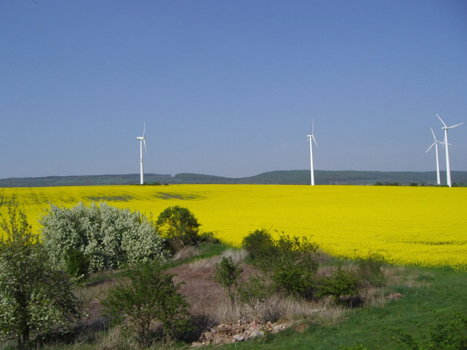 Windräder in Deutschland (Symbolbild)