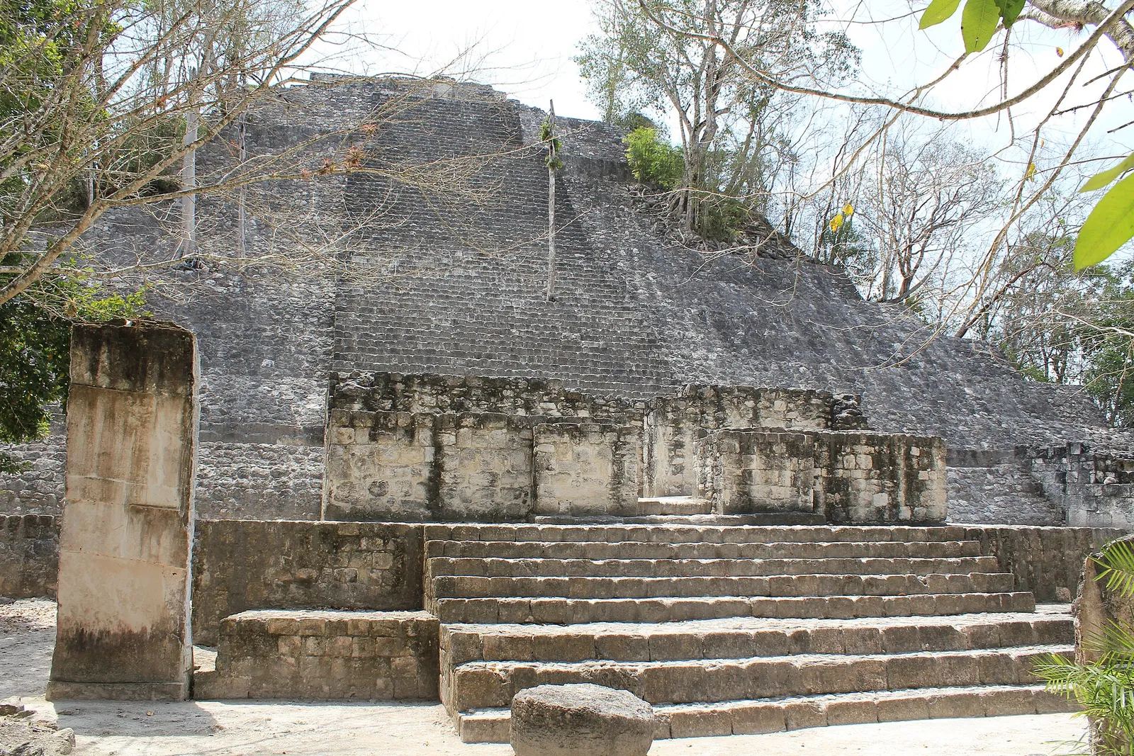 Maya-Pyramide im Regenwald von Calakmul (Symbolbild)