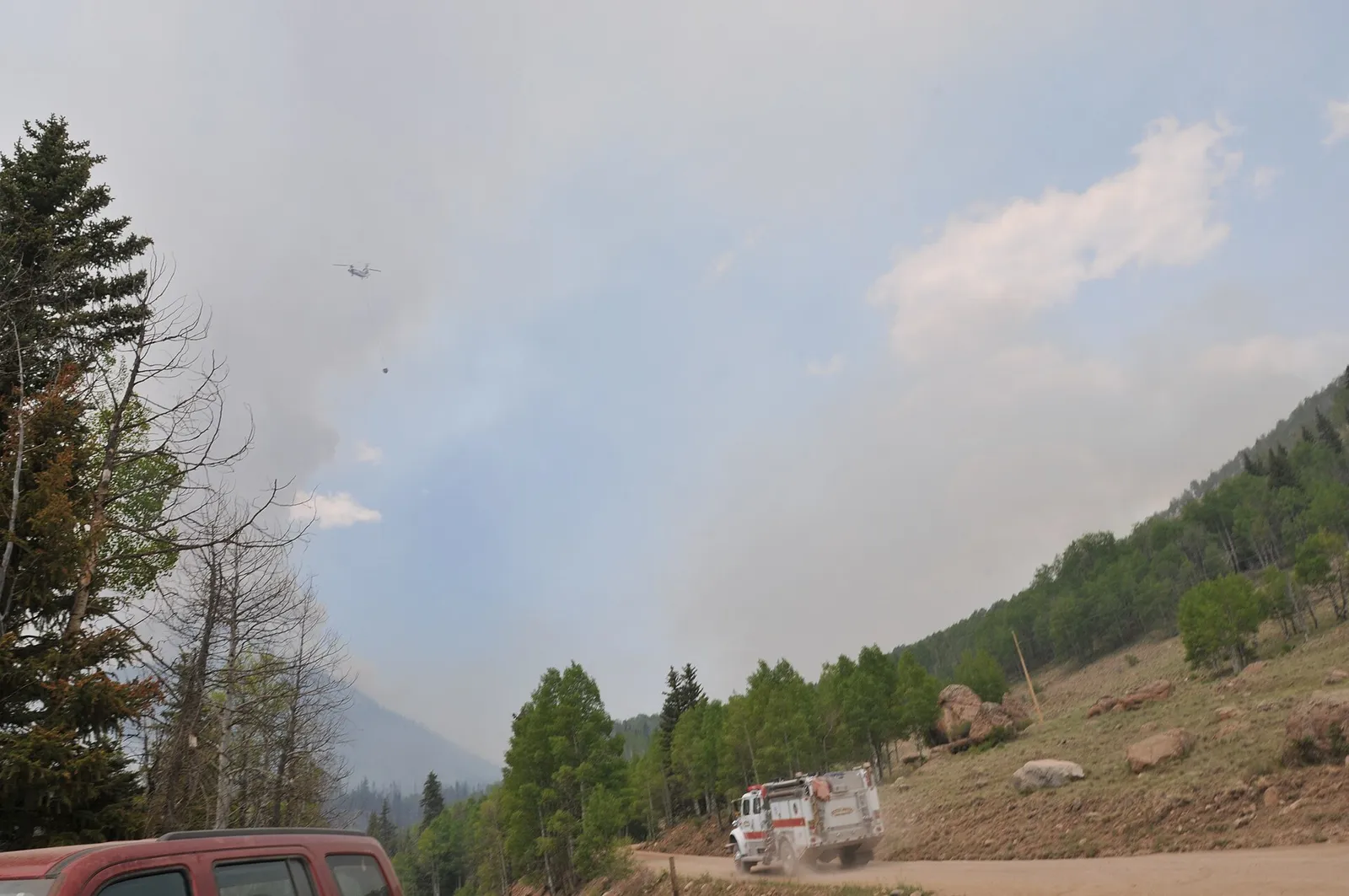 Waldbrand mit dichtem Rauch (Symbolbild)