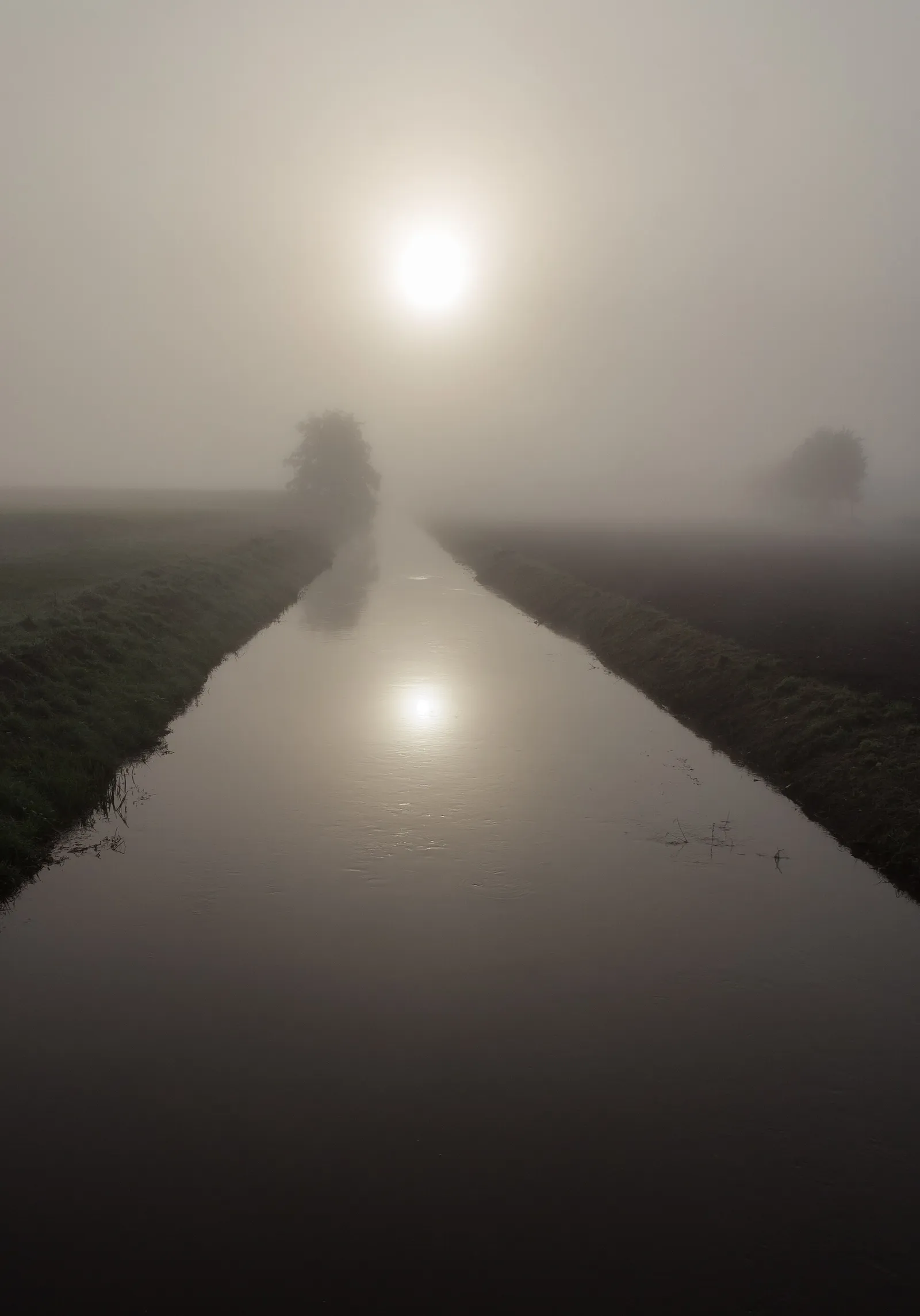 Die Sonne über sommerlichen Feldern (Symbolbild)