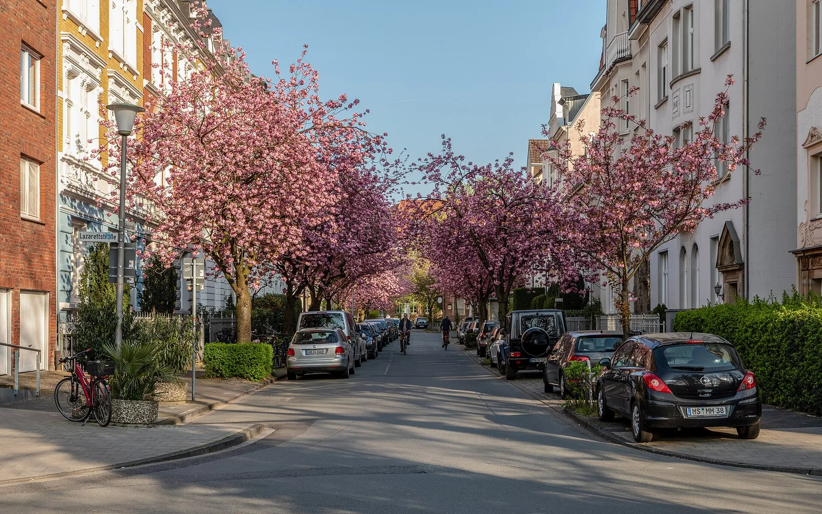 Eine baumbestandene Straße in der Stadt (Symbolbild)