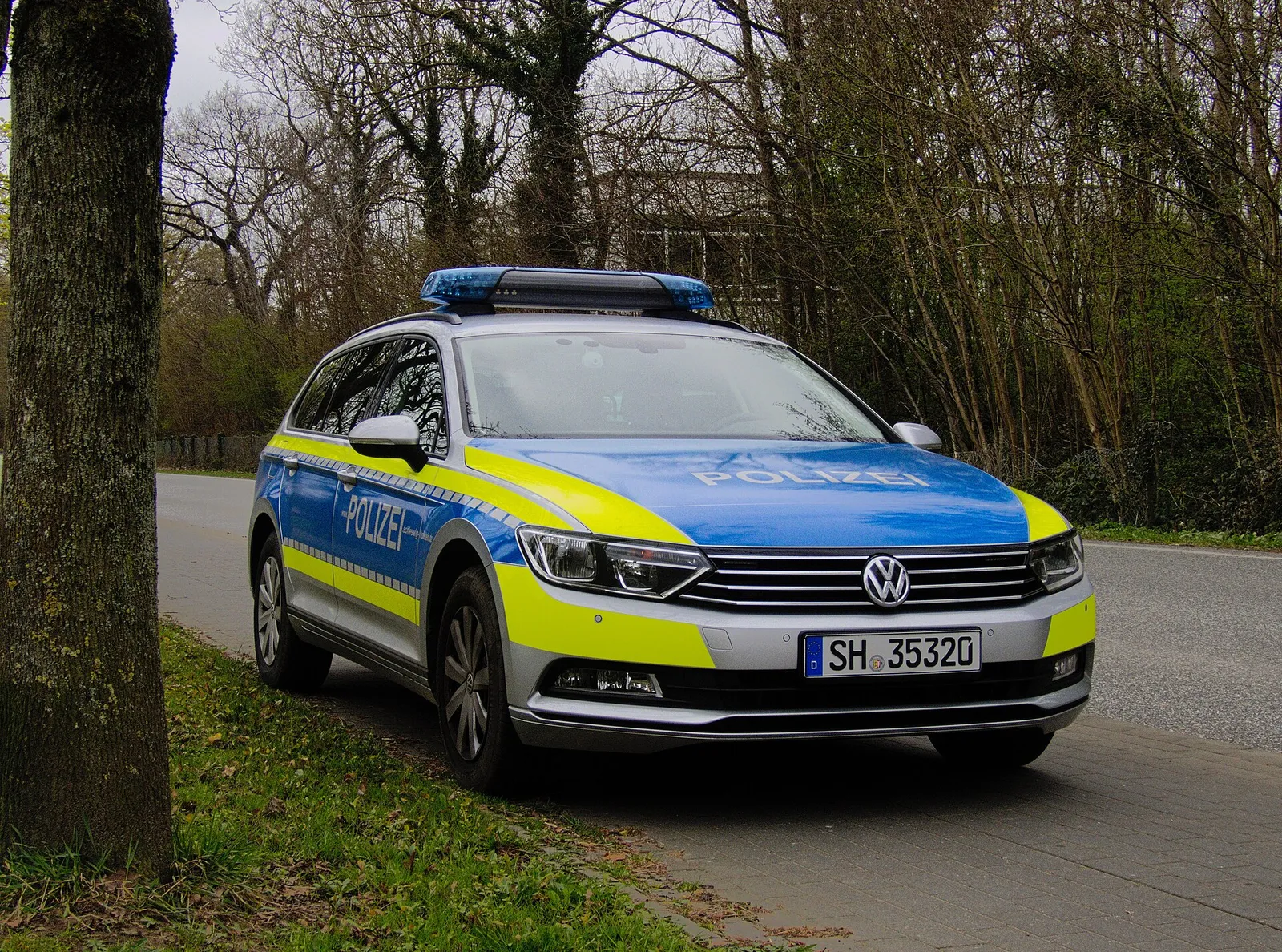 Ein Streifenwagen der Polizei (Symbolbild)