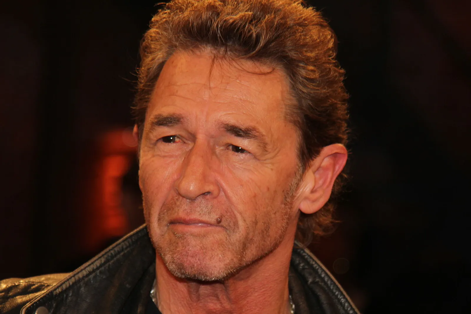 Peter Maffay (Archivbild, 2012)