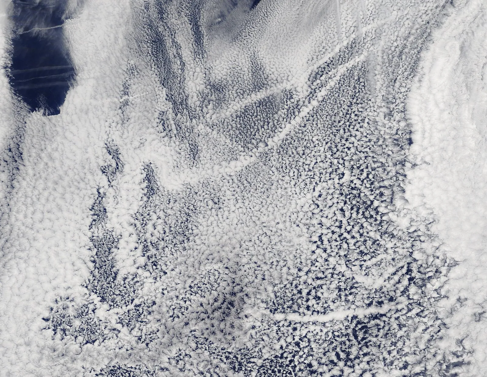 Satellitenbild: von Schiffsabgasen aufgehellte Wolkenspuren über dem Pazifik