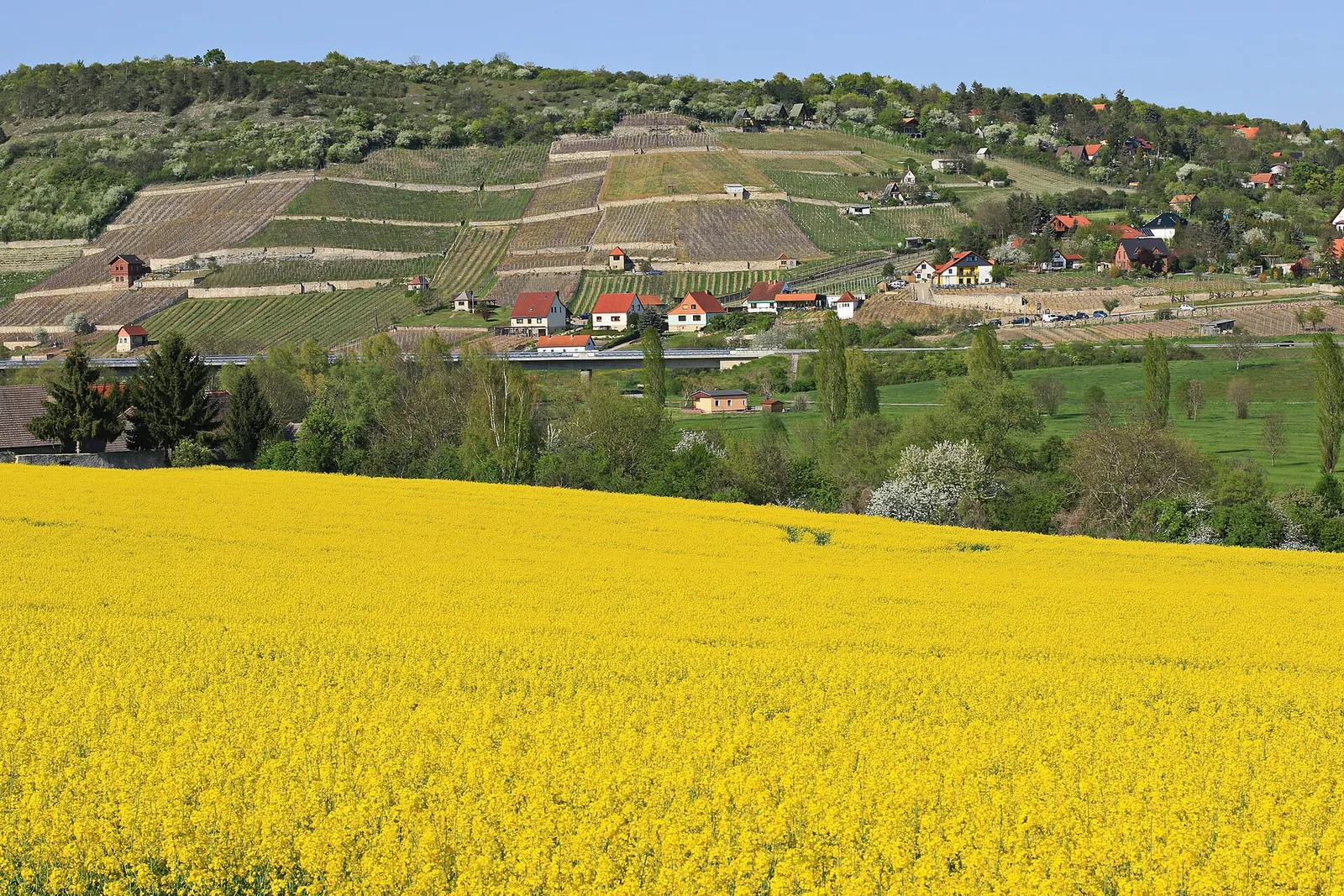 Hügelige Agrarlandschaft im Naturpark Saale-Unstrut-Triasland