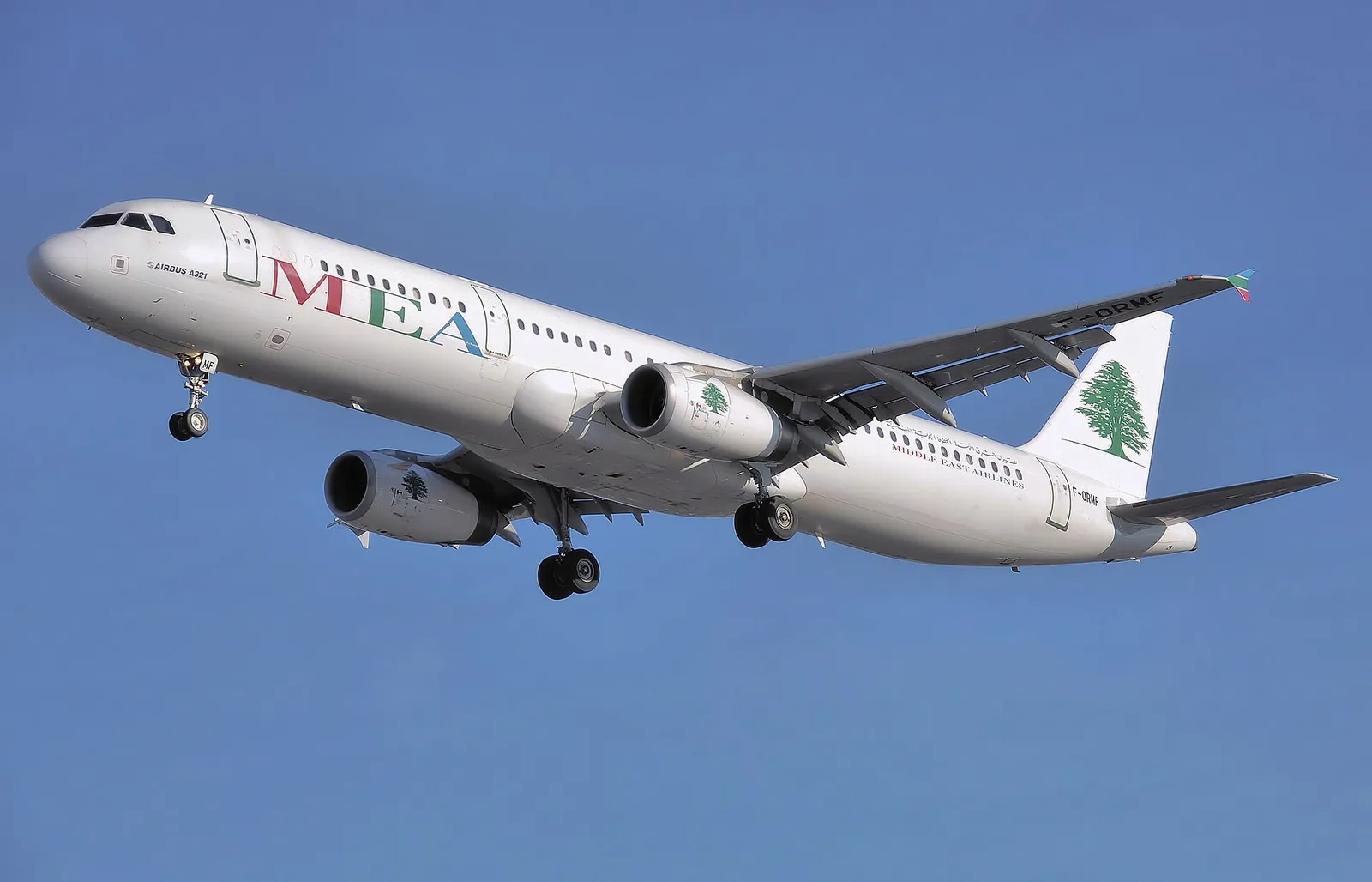 Ein Airbus A321 bei der Landung (Symbolbild)