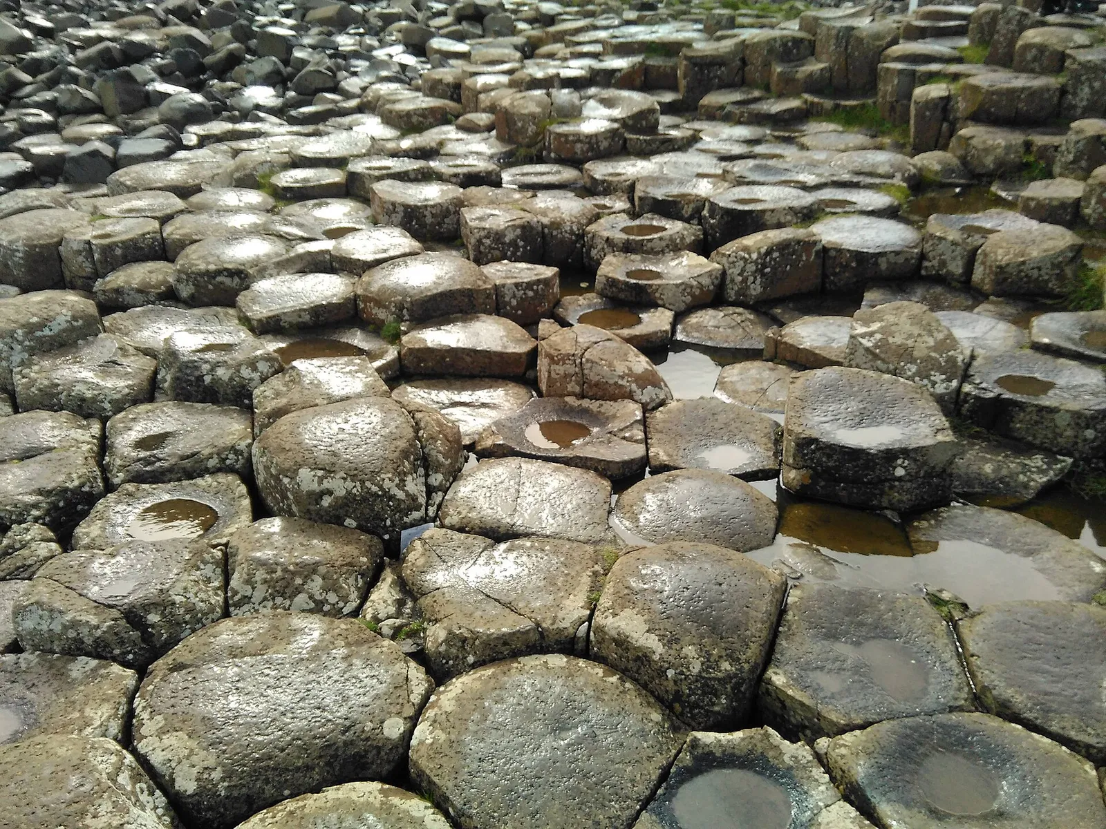 Die Basaltsäulen des Giant's Causeway in Nordirland