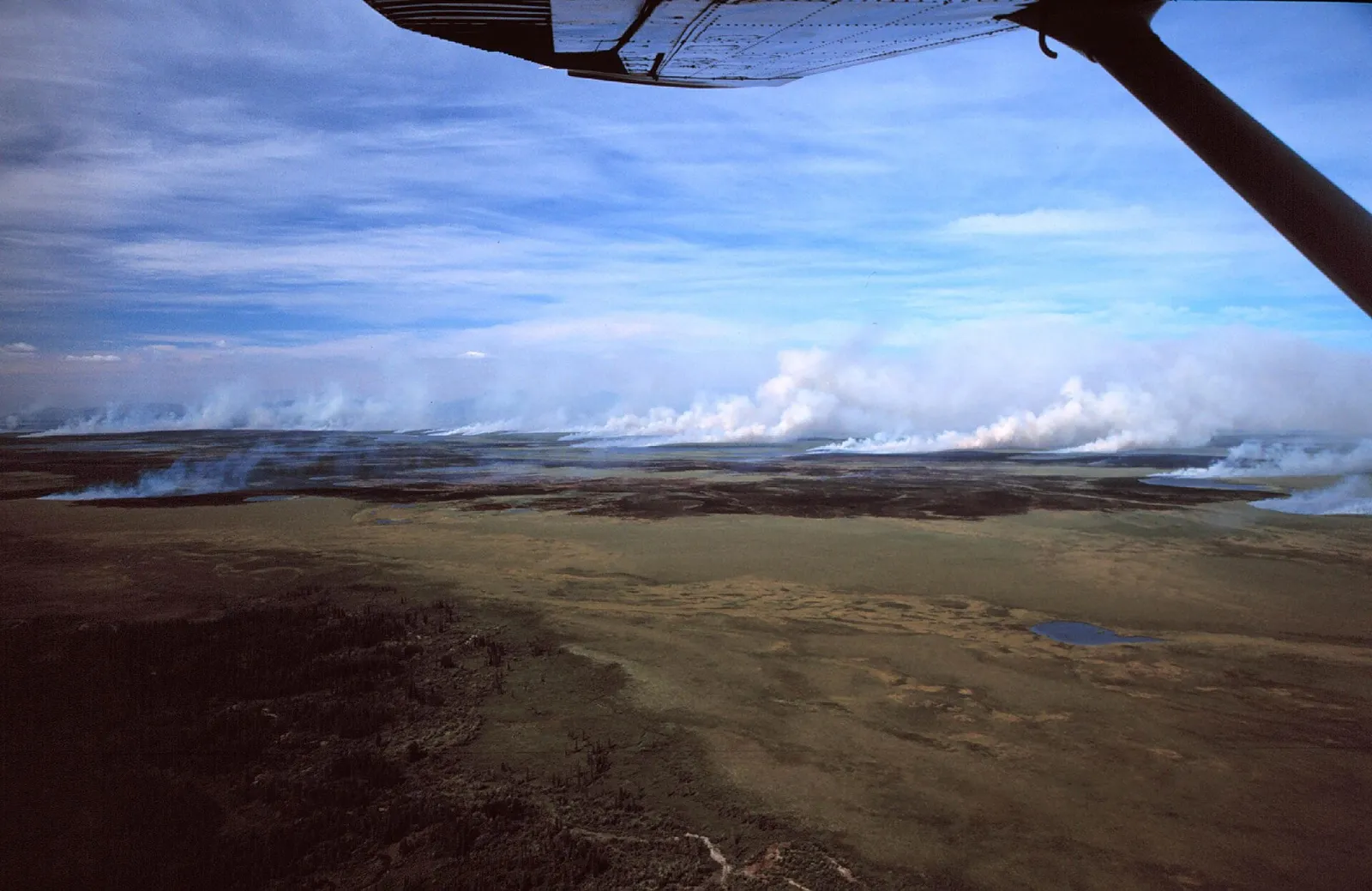 Ein Feuer in der arktischen Tundra (Archivbild)