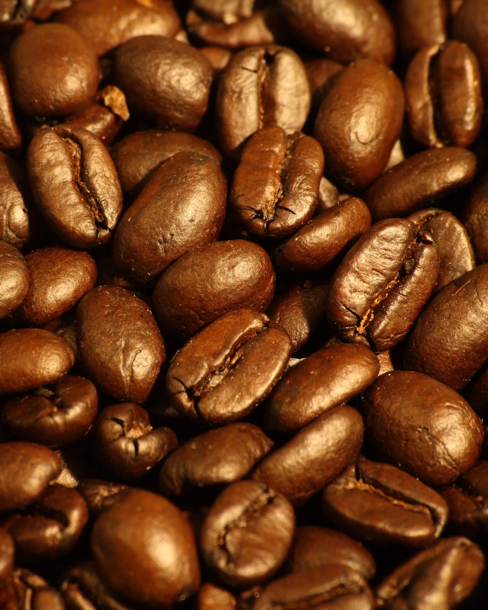 Geröstete Kaffeebohnen (Symbolbild)