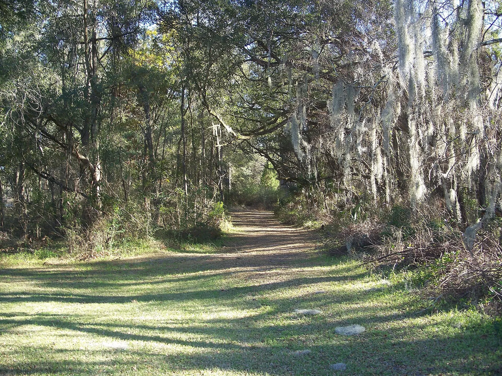 Wanderweg im heutigen Cross Florida Greenway (Archivbild)