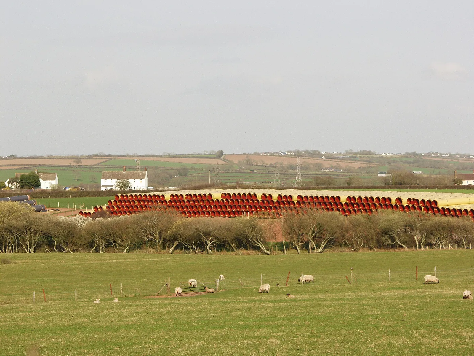 Gelagerte Rohre für eine Gaspipeline (Symbolbild)