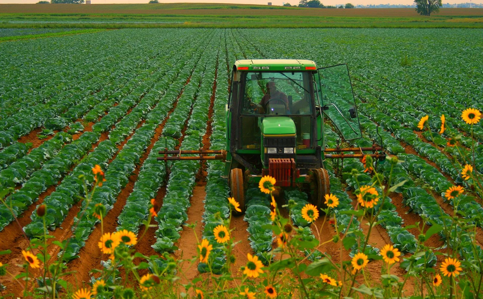 Ein Traktor von John Deere auf einem Feld (Symbolbild)