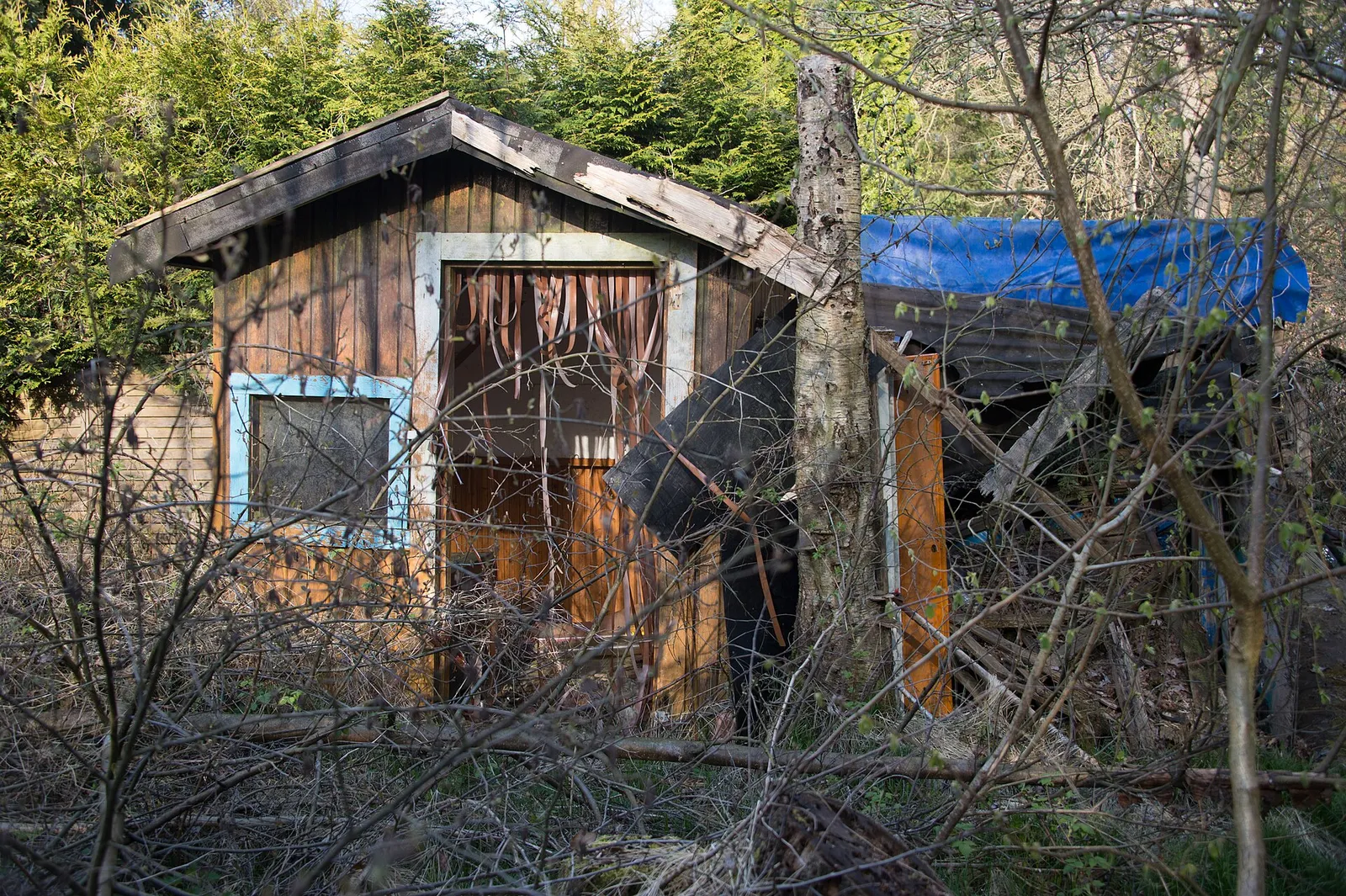 Ein Schrebergarten in Deutschland